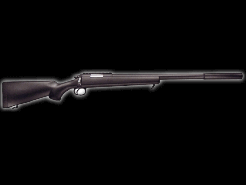 vsr10.gif